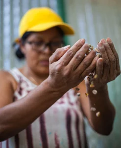 Coffee producer holding beans