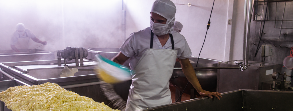 Elaboración de queso en Lácteos El Torito
