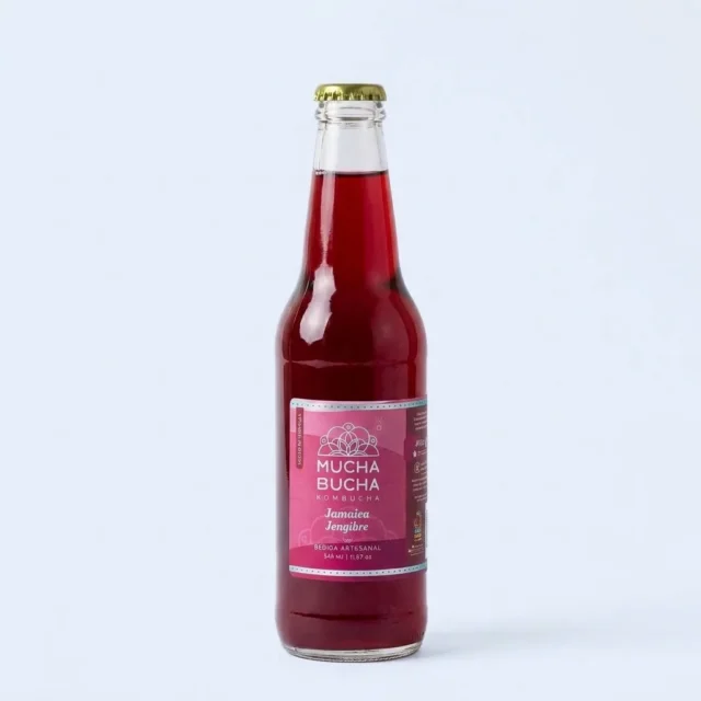 Kombucha Jamaica Jengibre · Imagen generada